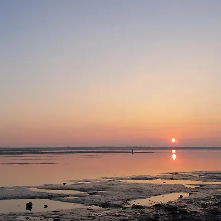 Maison De Plain-pied 3 Classee 4 Etoiles Dans Impasse Au Calme 別荘 *