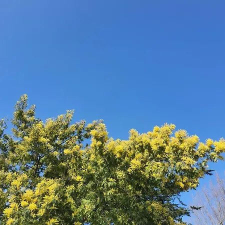 Maison De Plain-pied 3 Classee 4 Etoiles Dans Impasse Au Calme