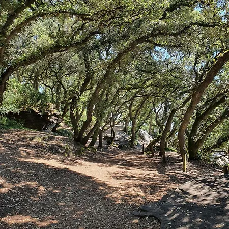 Maison De Plain-pied 3 Classee 4 Etoiles Dans Impasse Au Calme * La Guérinière