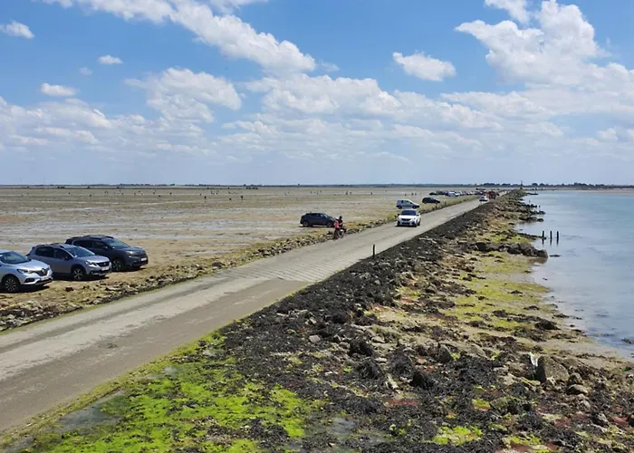 Maison De Plain-pied 3 Classee 4 Etoiles Dans Impasse Au Calme * La Guérinière