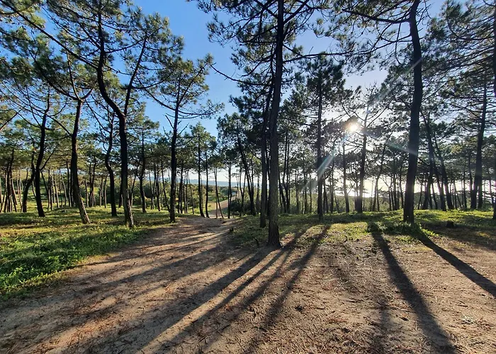 Hébergement de vacances Maison De Plain-pied 3 Classee 4 Etoiles Dans Impasse Au Calme *