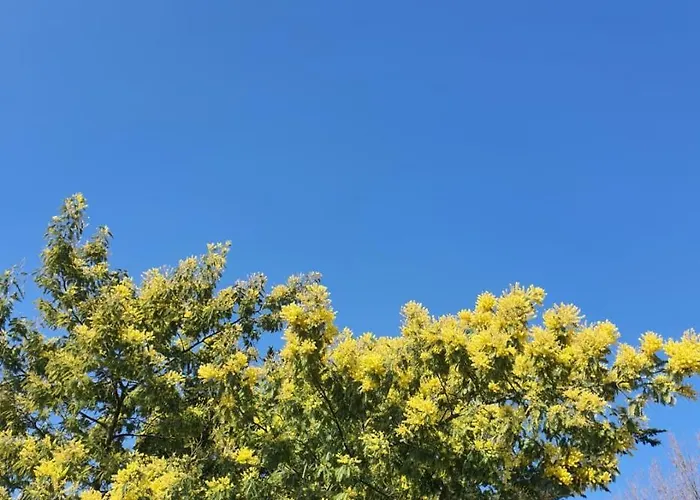 Maison De Plain-pied 3 Classee 4 Etoiles Dans Impasse Au Calme