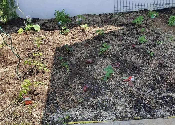 Hébergement de vacances Maison De Plain-pied 3 Classee 4 Etoiles Dans Impasse Au Calme *