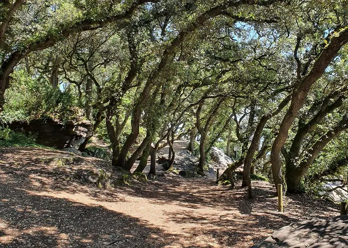 Maison De Plain-pied 3 Classee 4 Etoiles Dans Impasse Au Calme * La Guérinière